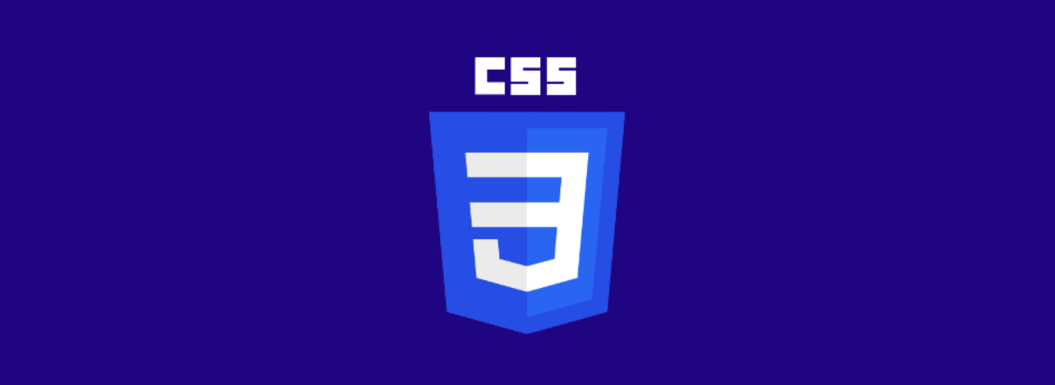 An image displaying the logo of CSS.
